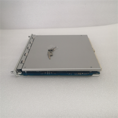 BENTLY 350022M 288055-01 (2)