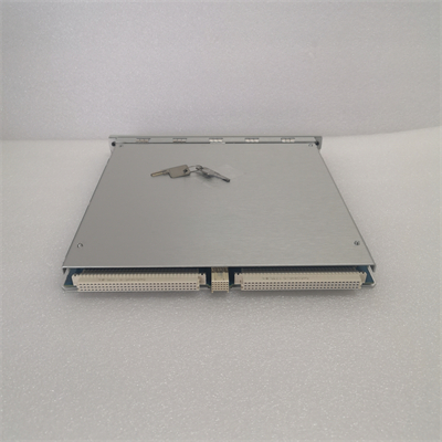 BENTLY 350022M 288055-01 (3)