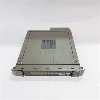 ICS TRIPLEX T8403 (6)