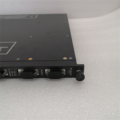 TRICONEX 4351B (1)