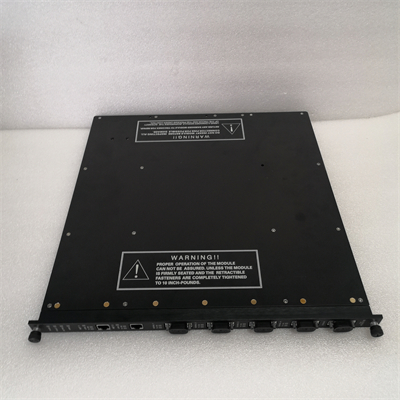 TRICONEX 4351B (2)