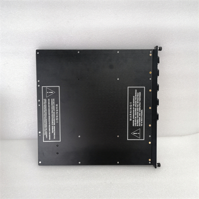 TRICONEX 4351B (6)