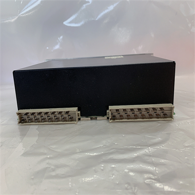 Vibro-meter VM600 RPS6U 200-582-500-013 (3)