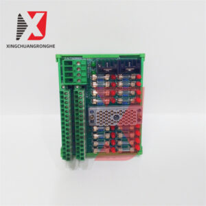 TRICONEX 9662-910