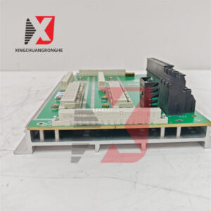 TRICONEX DO2401