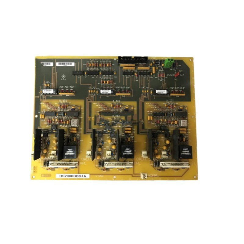 DS200IIBDG1A